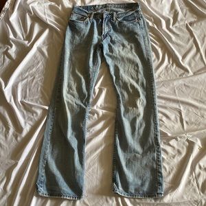 Low Rise Baggy Flare Denim American Eagle Jeans